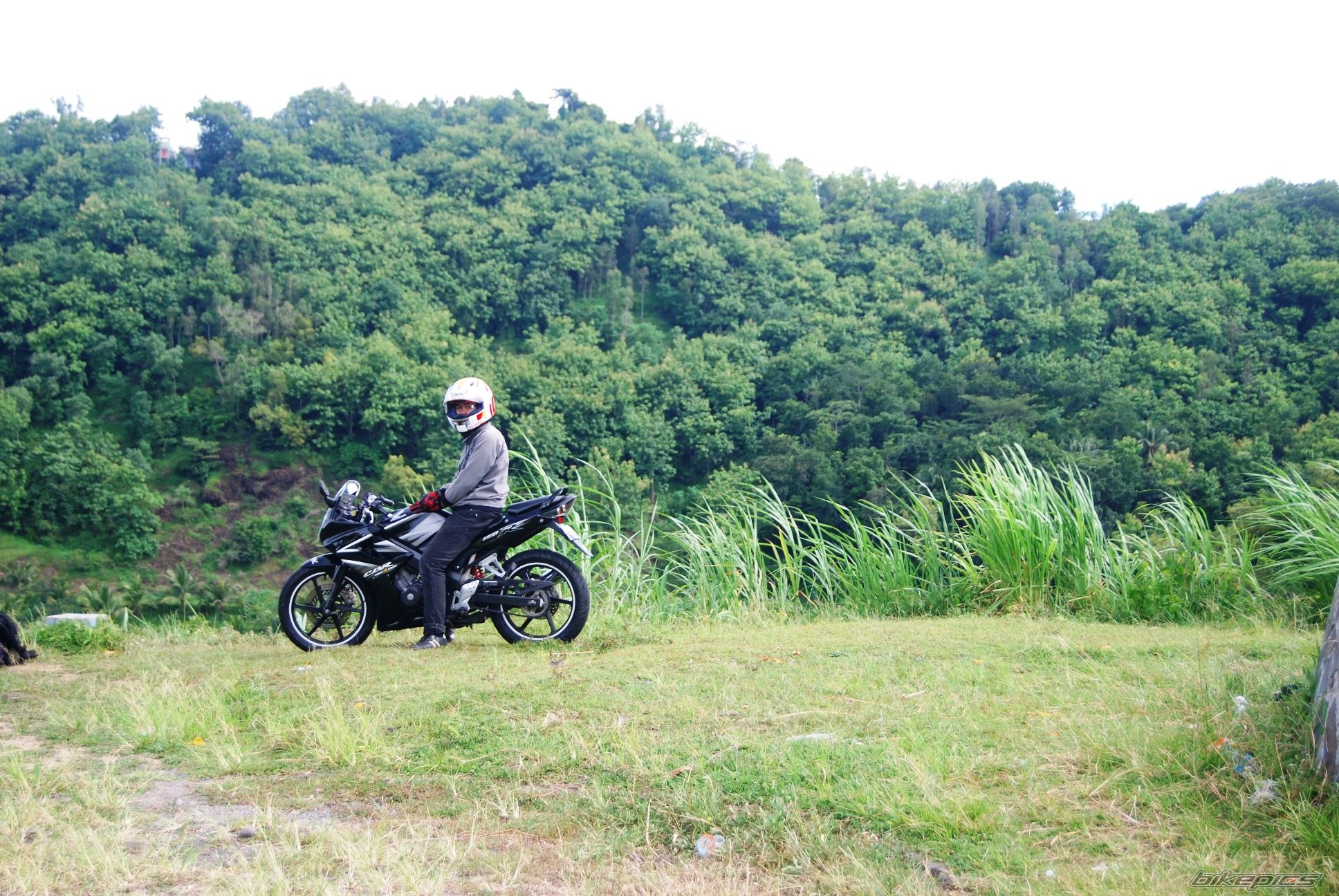 Photo 2351412