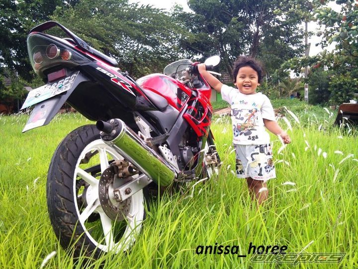 Photo 2351436