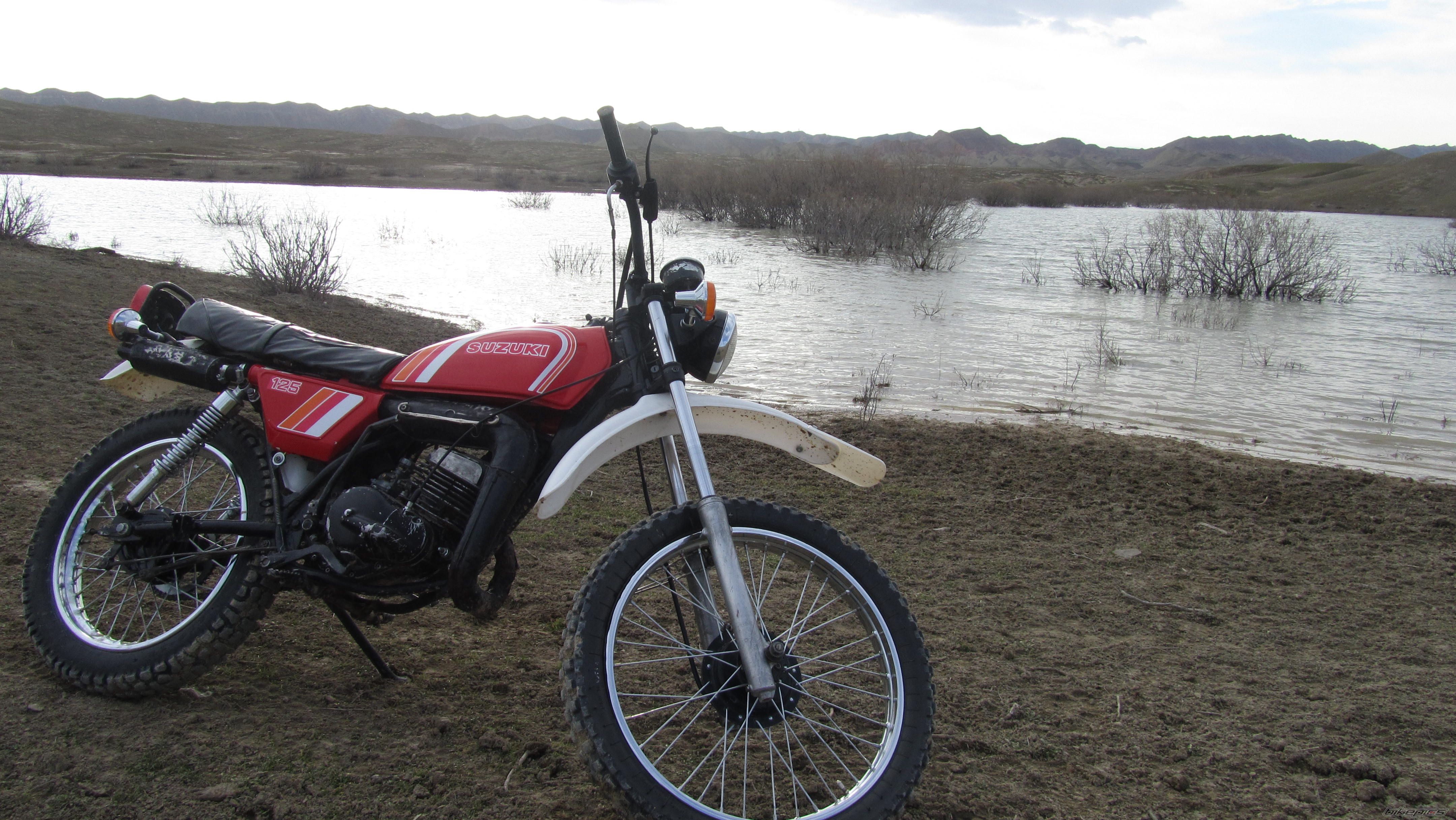 Photo 2351439
