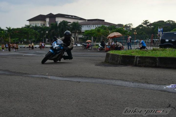 Photo 2351457