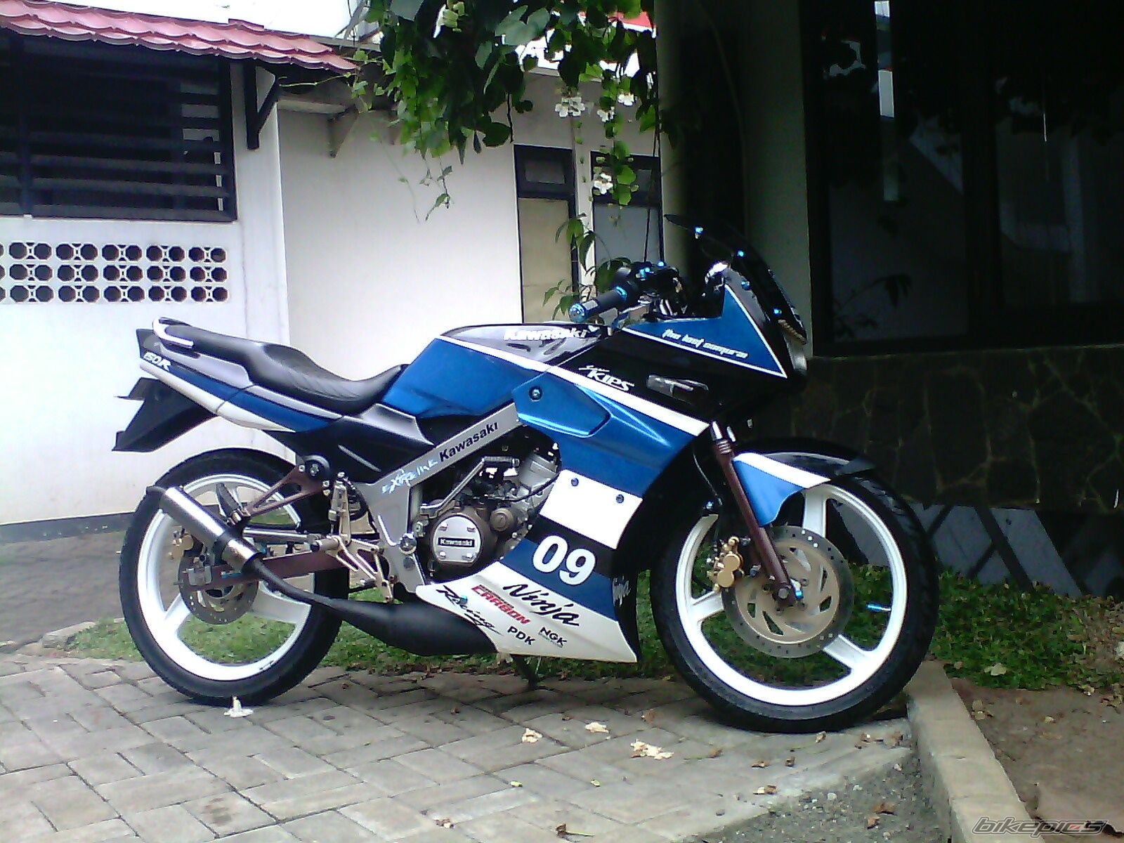Photo 2351570