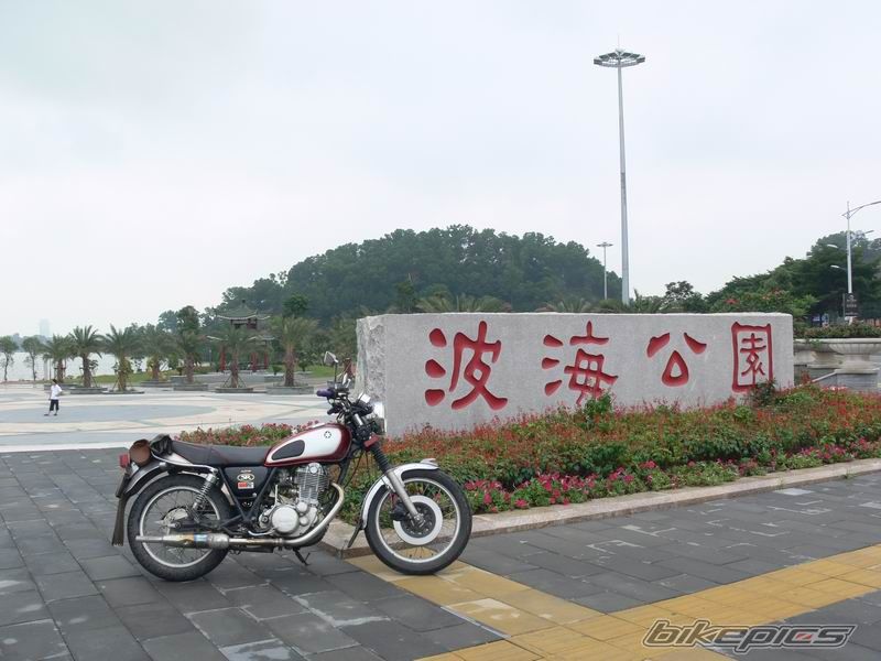 Photo 2351662