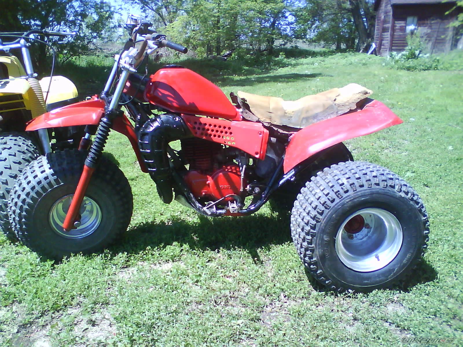 Photo 2351674