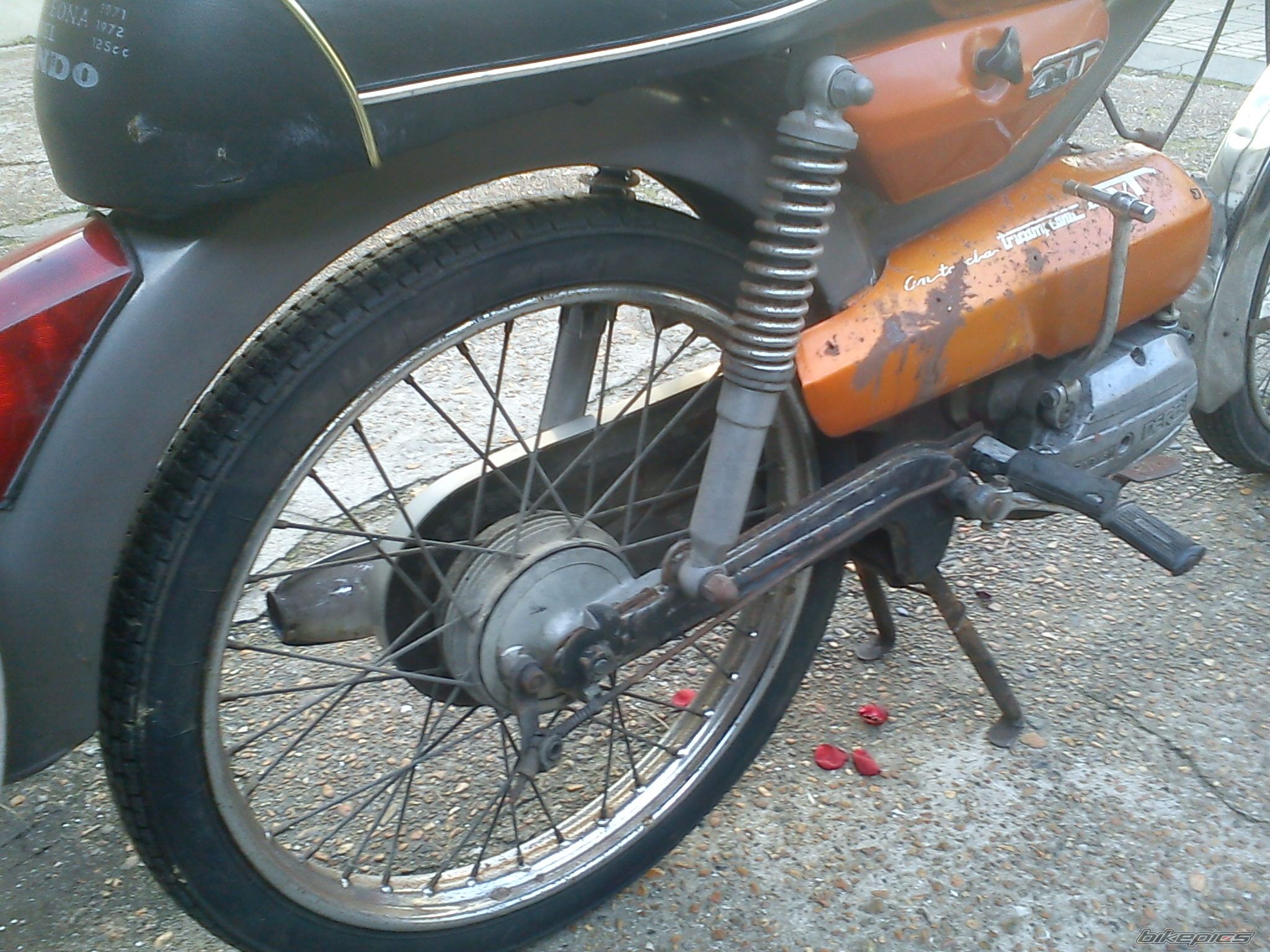Photo 2351728
