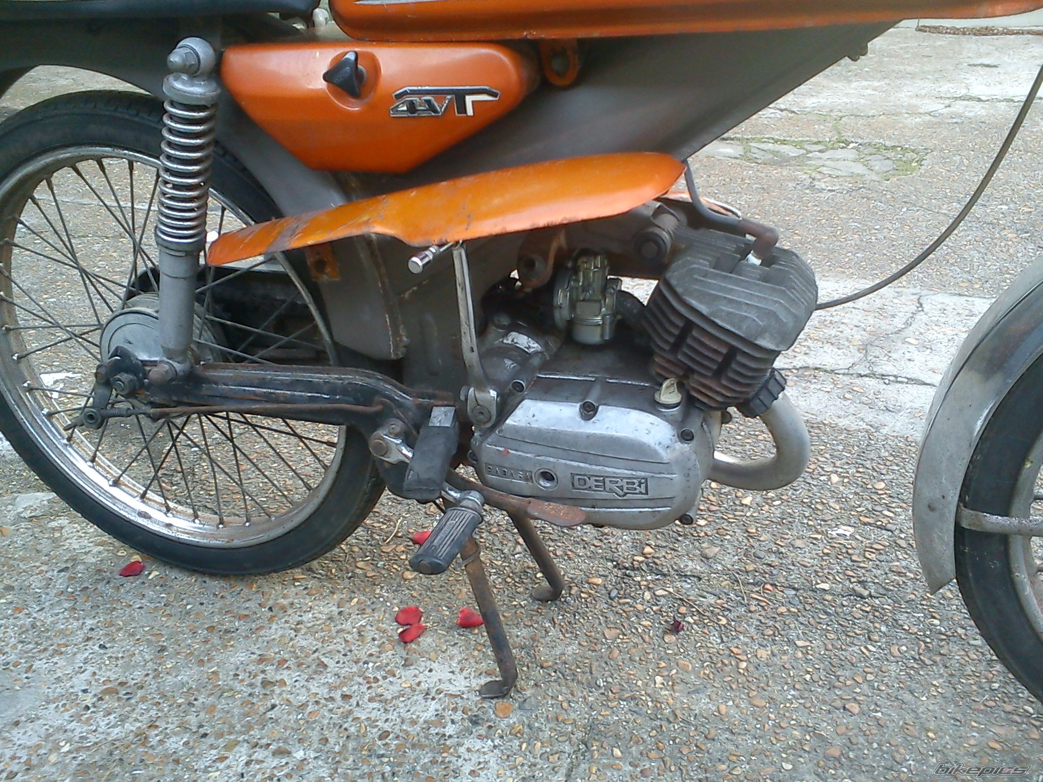 Photo 2351729