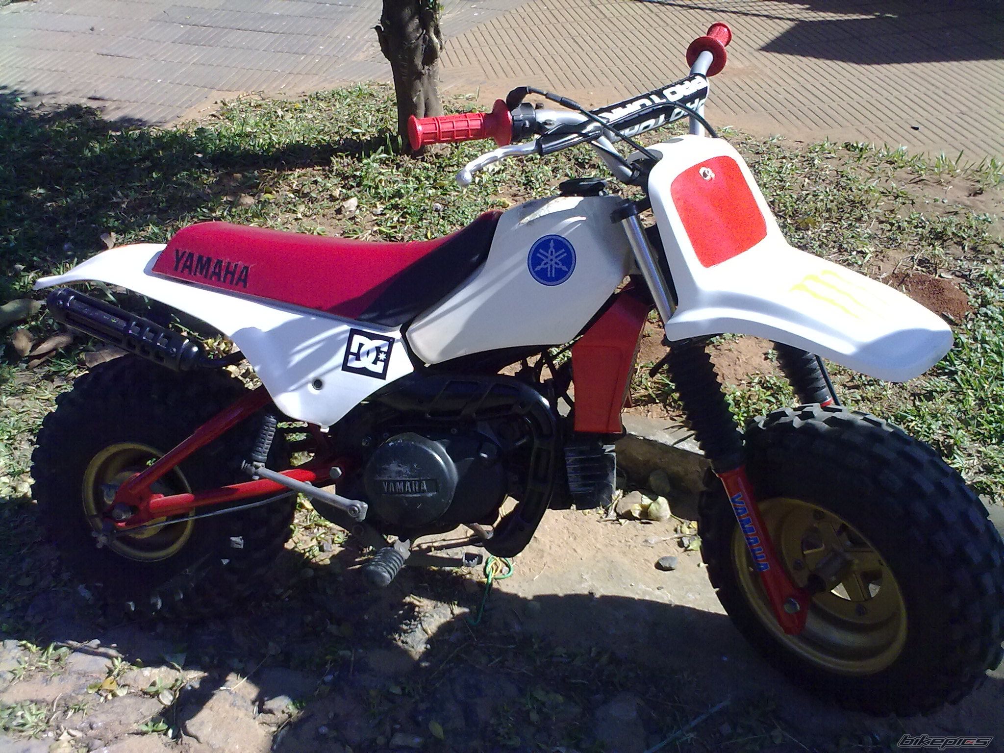 Photo 2351734