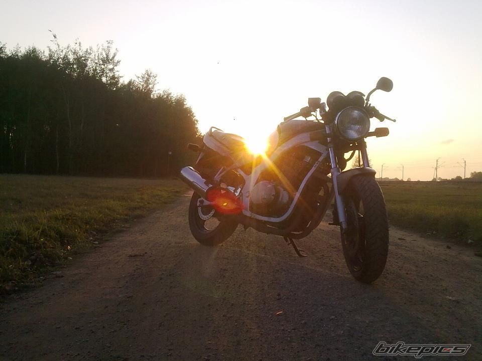 Photo 2351739