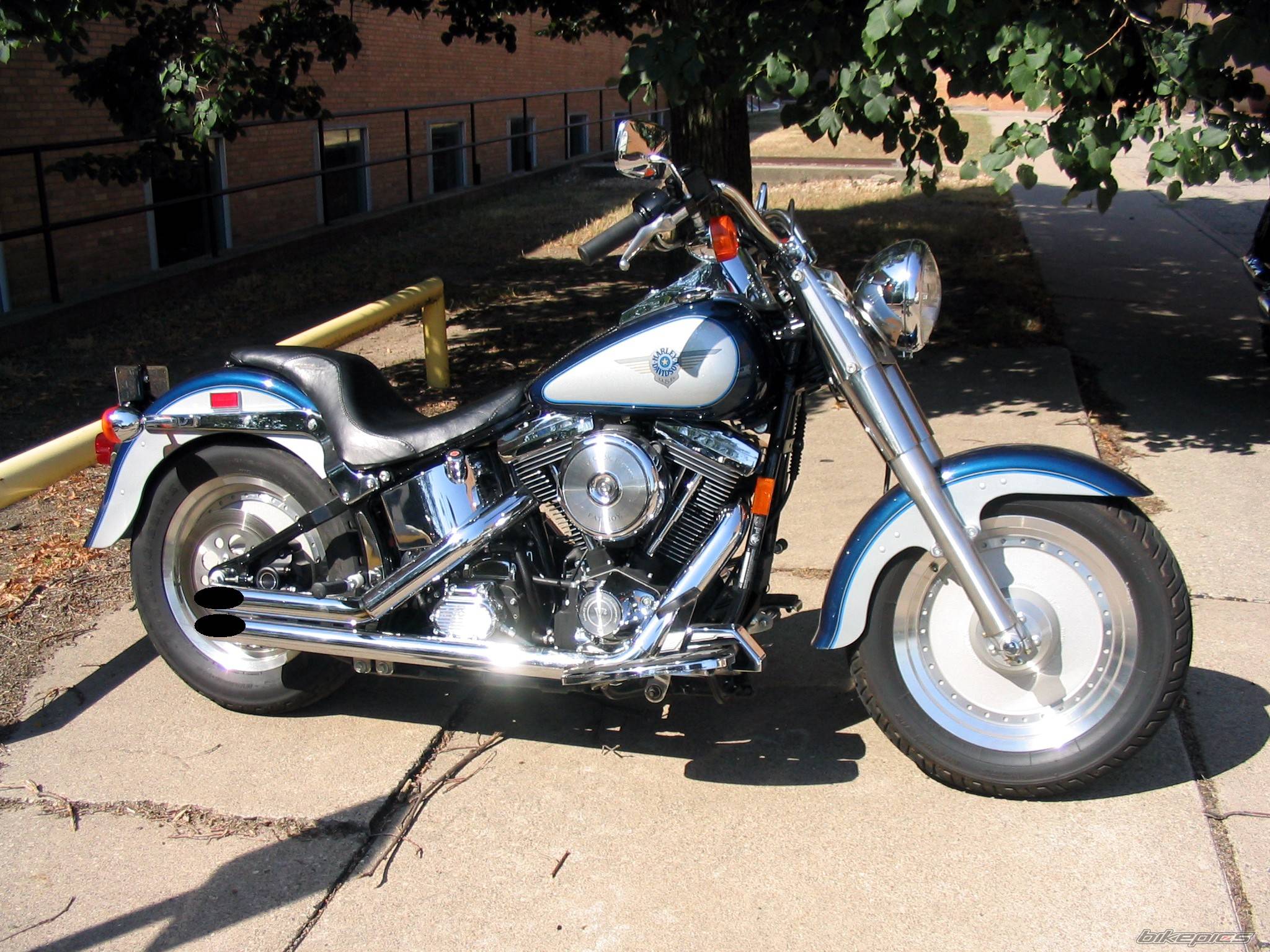 Photo 235215