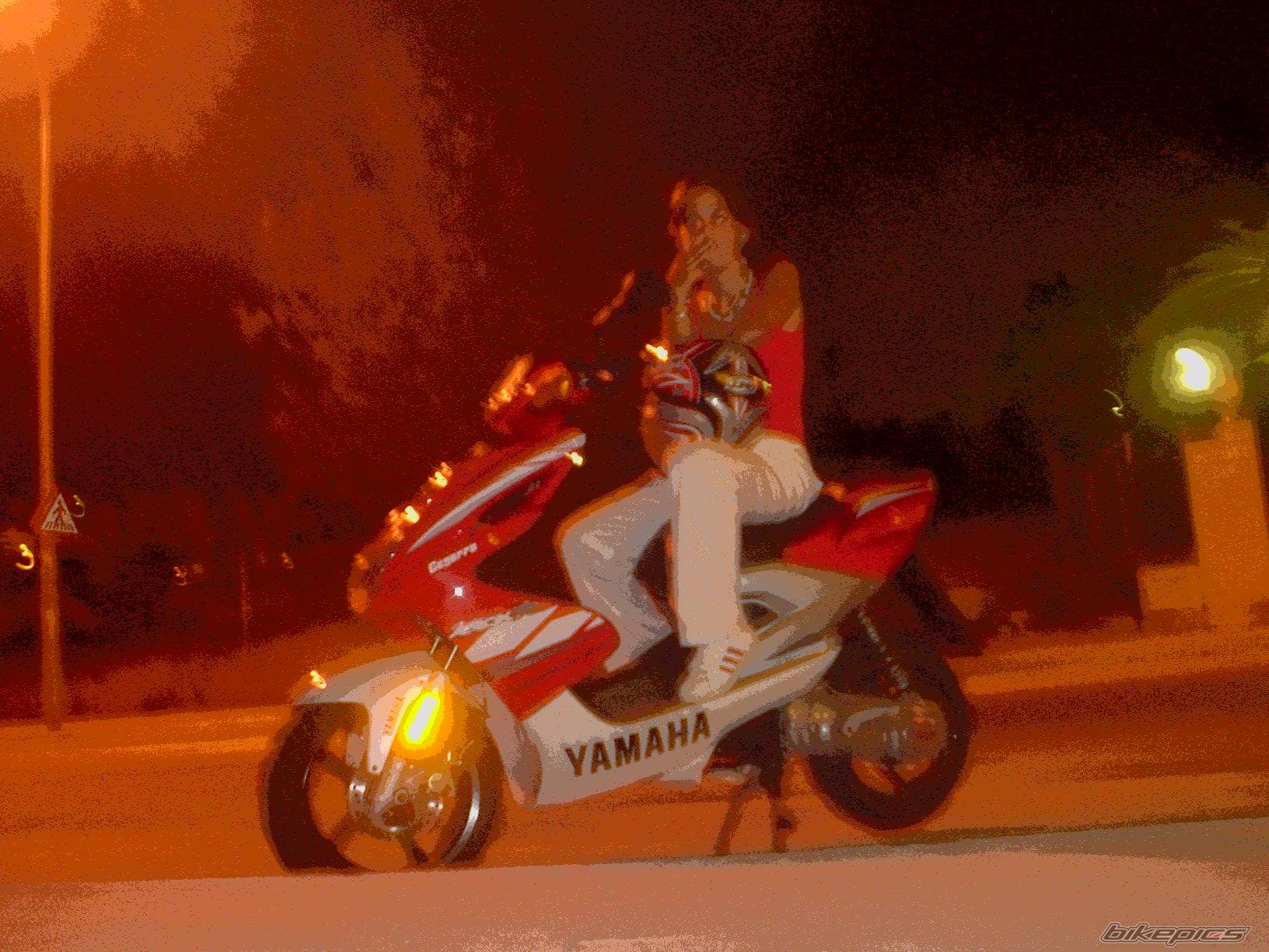 Photo 235217