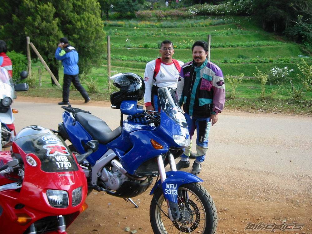 Photo 235218