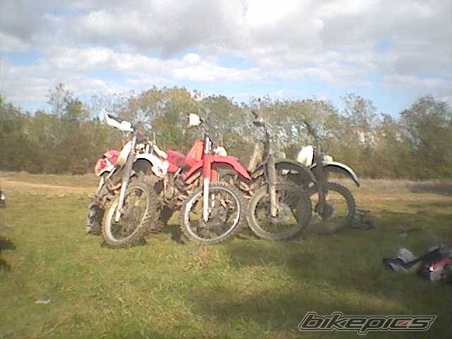Photo 235237
