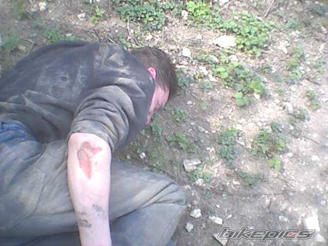 Photo 235240