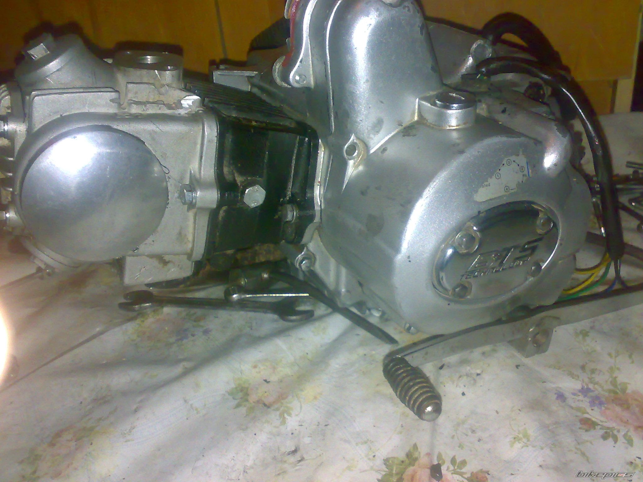 Photo 2352454