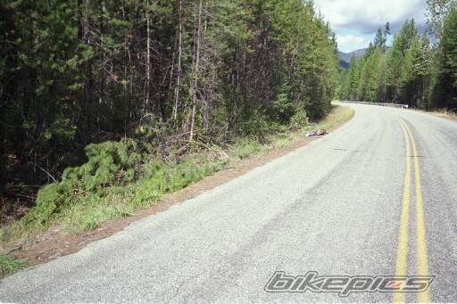 Photo 235246