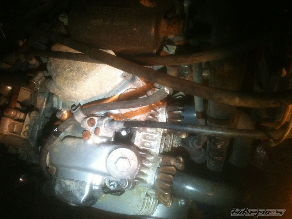 Photo 2352470