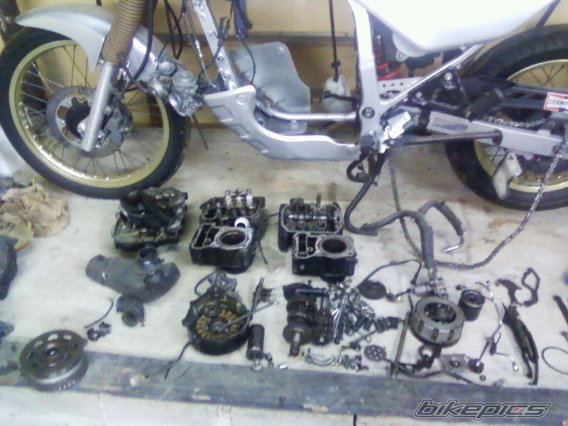 Photo 2352510