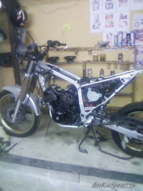 Photo 2352512