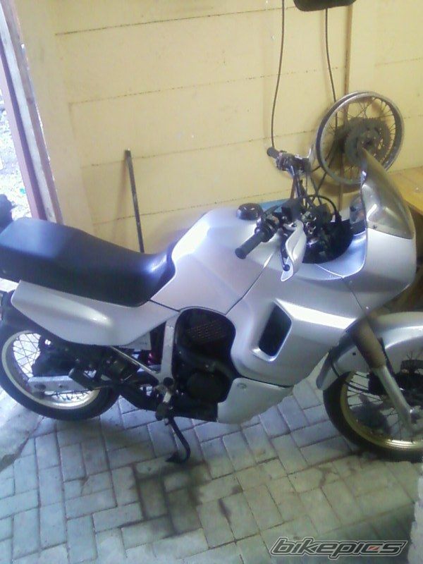Photo 2352513