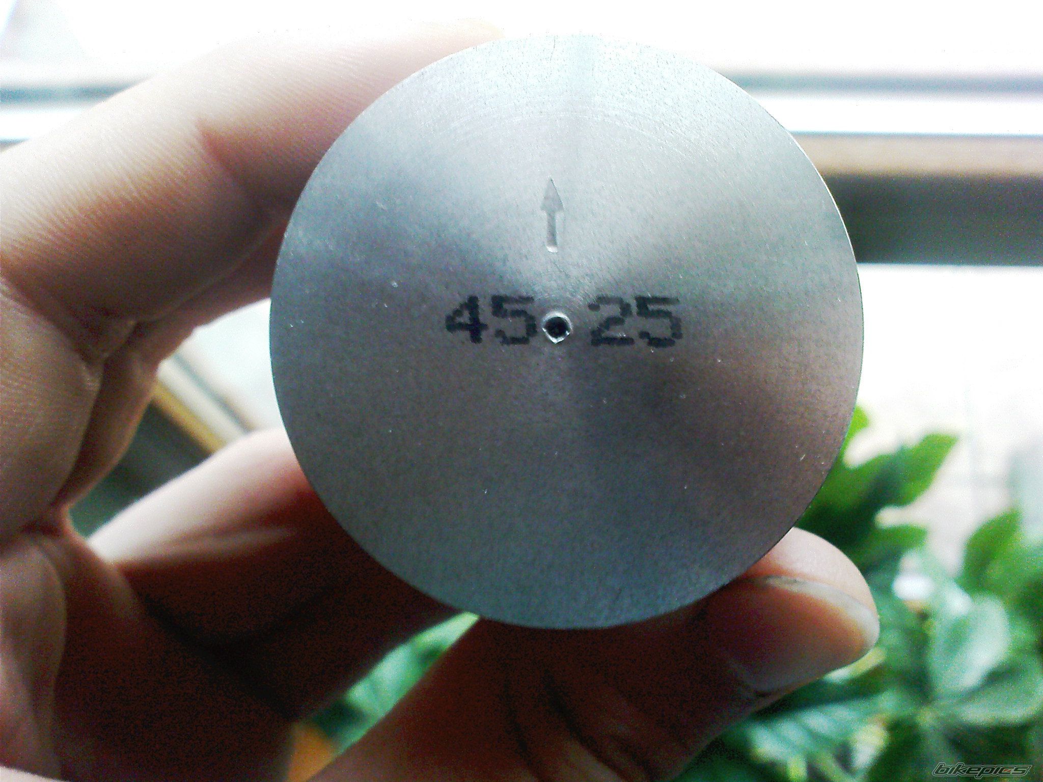 Photo 2352539