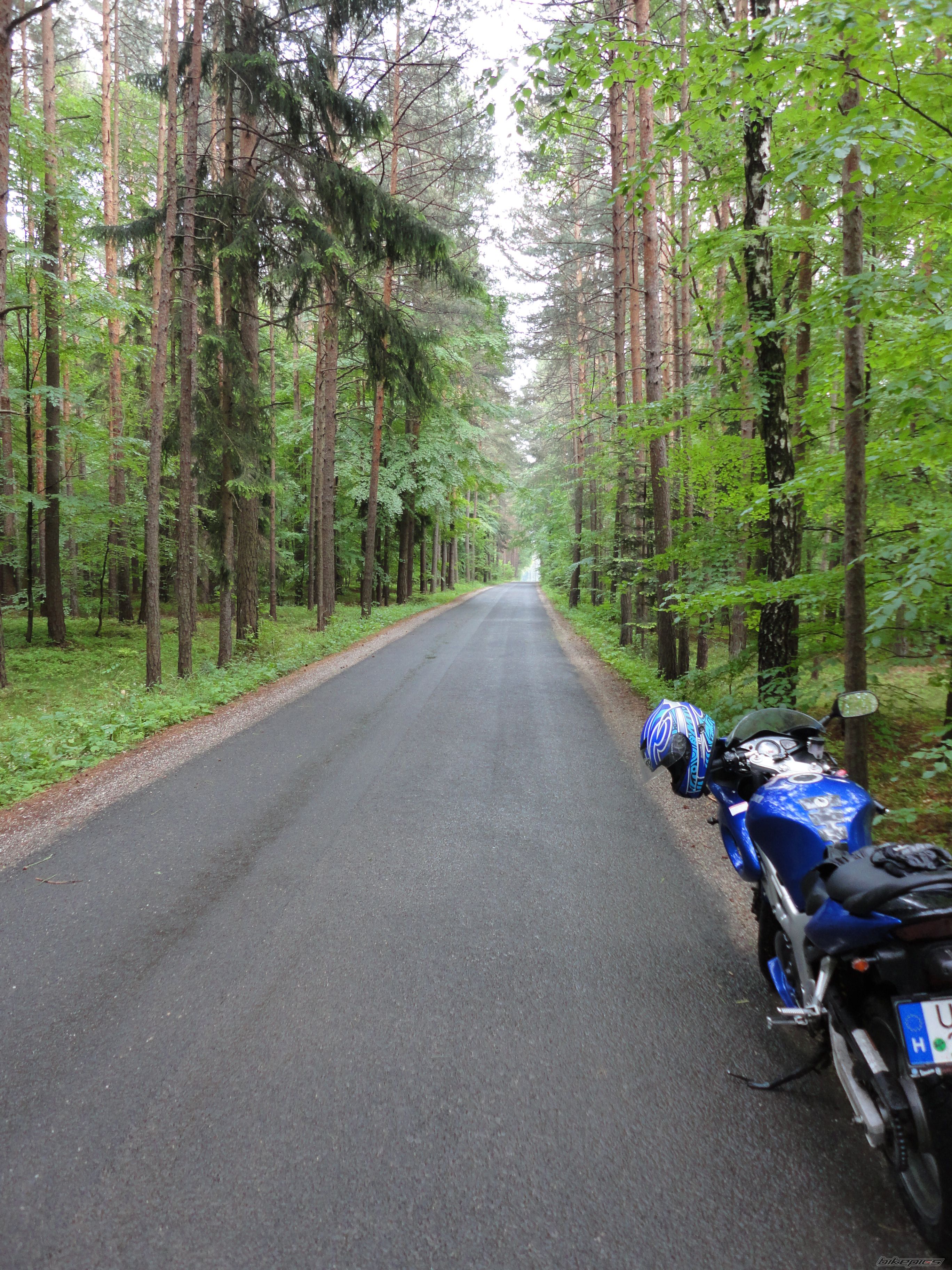 Photo 2352571