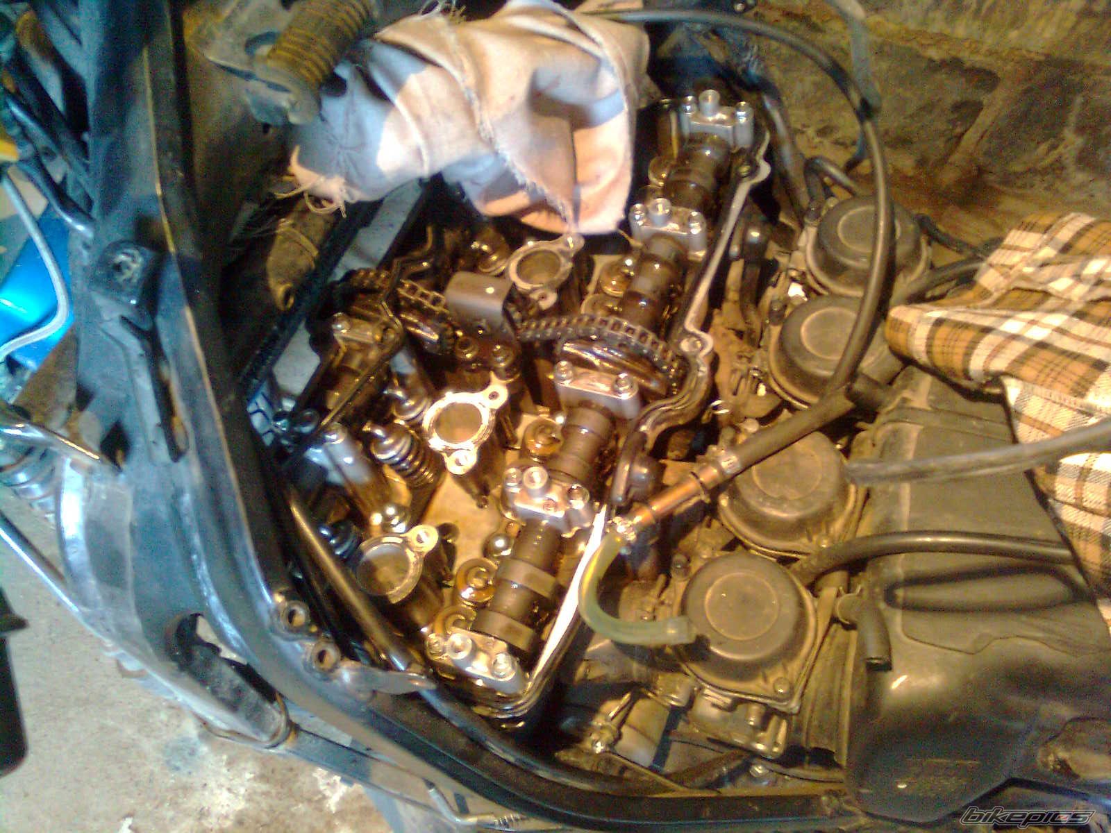 Photo 2352628