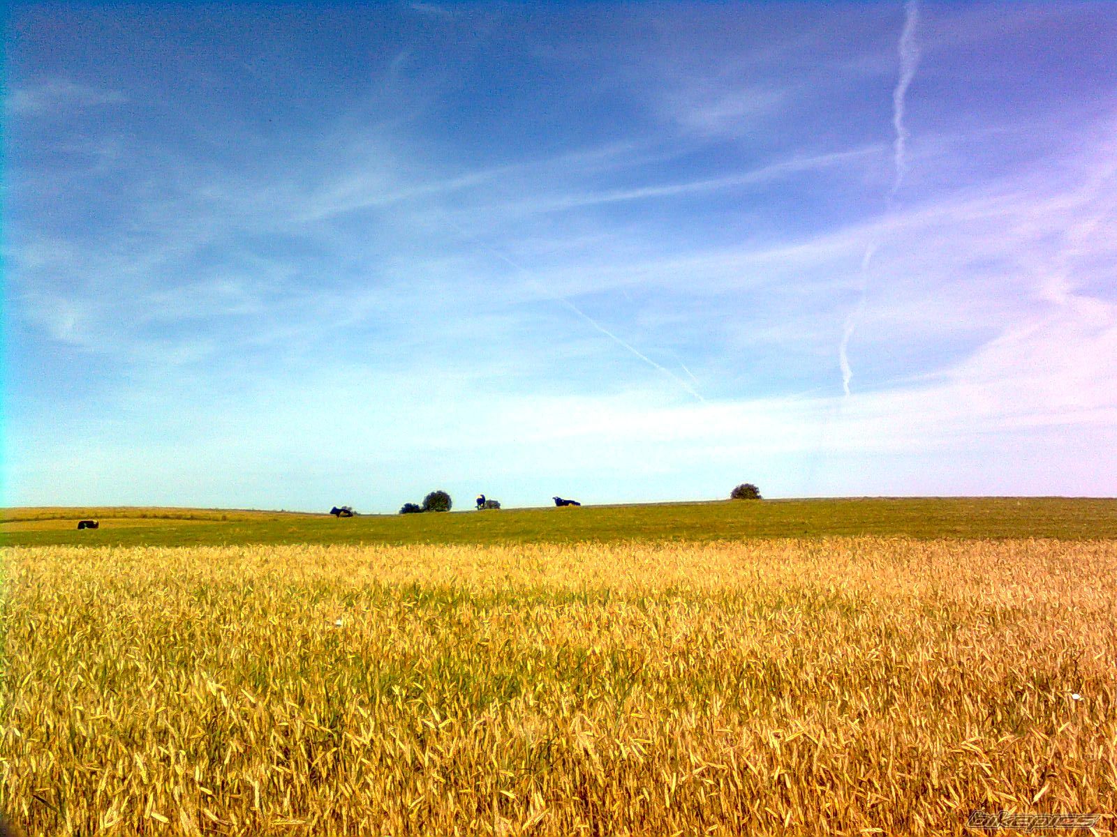 Photo 2352656