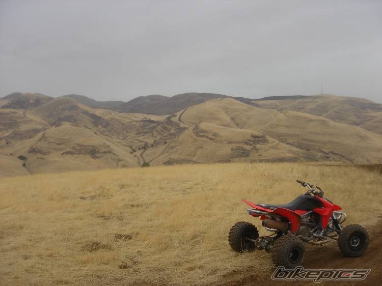 Photo 235295