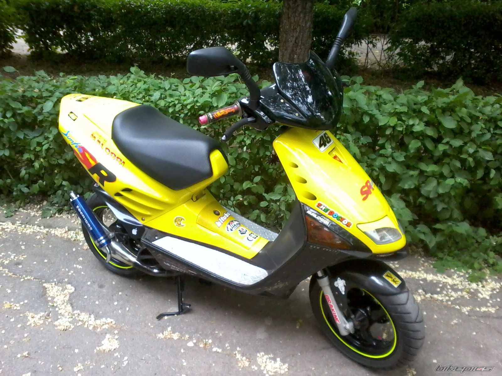 Photo 2352963