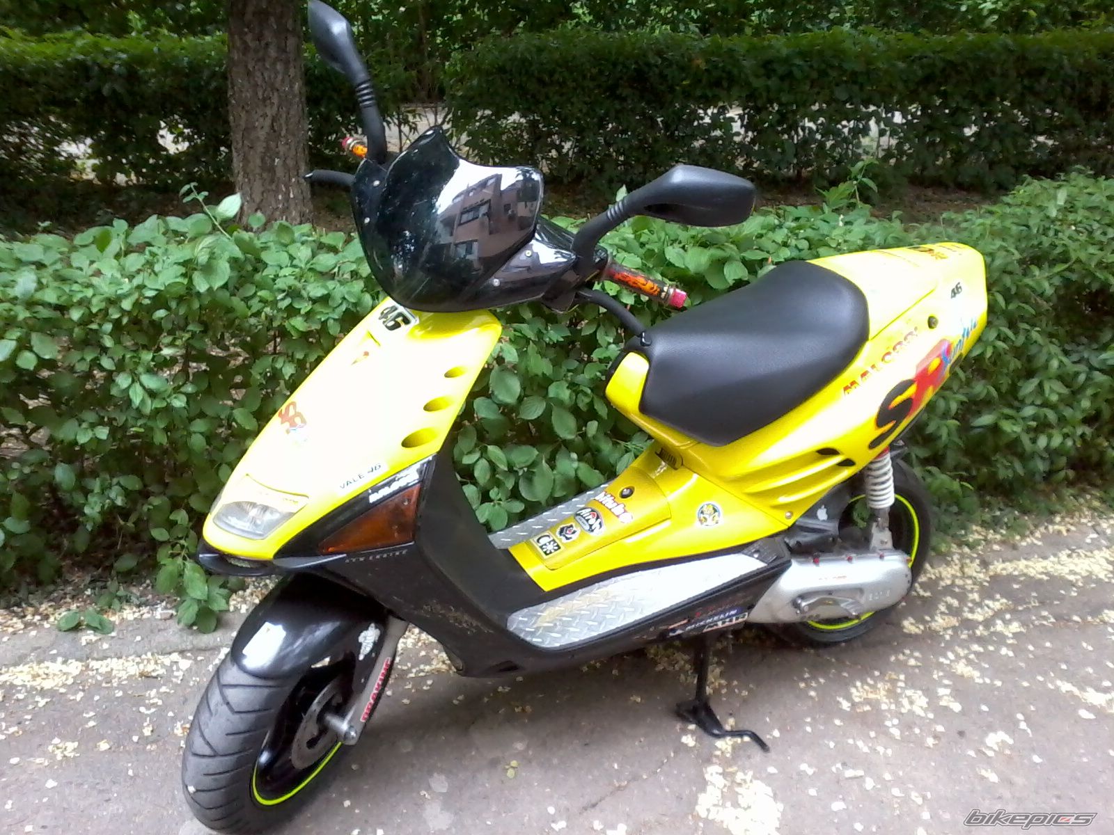 Photo 2352965