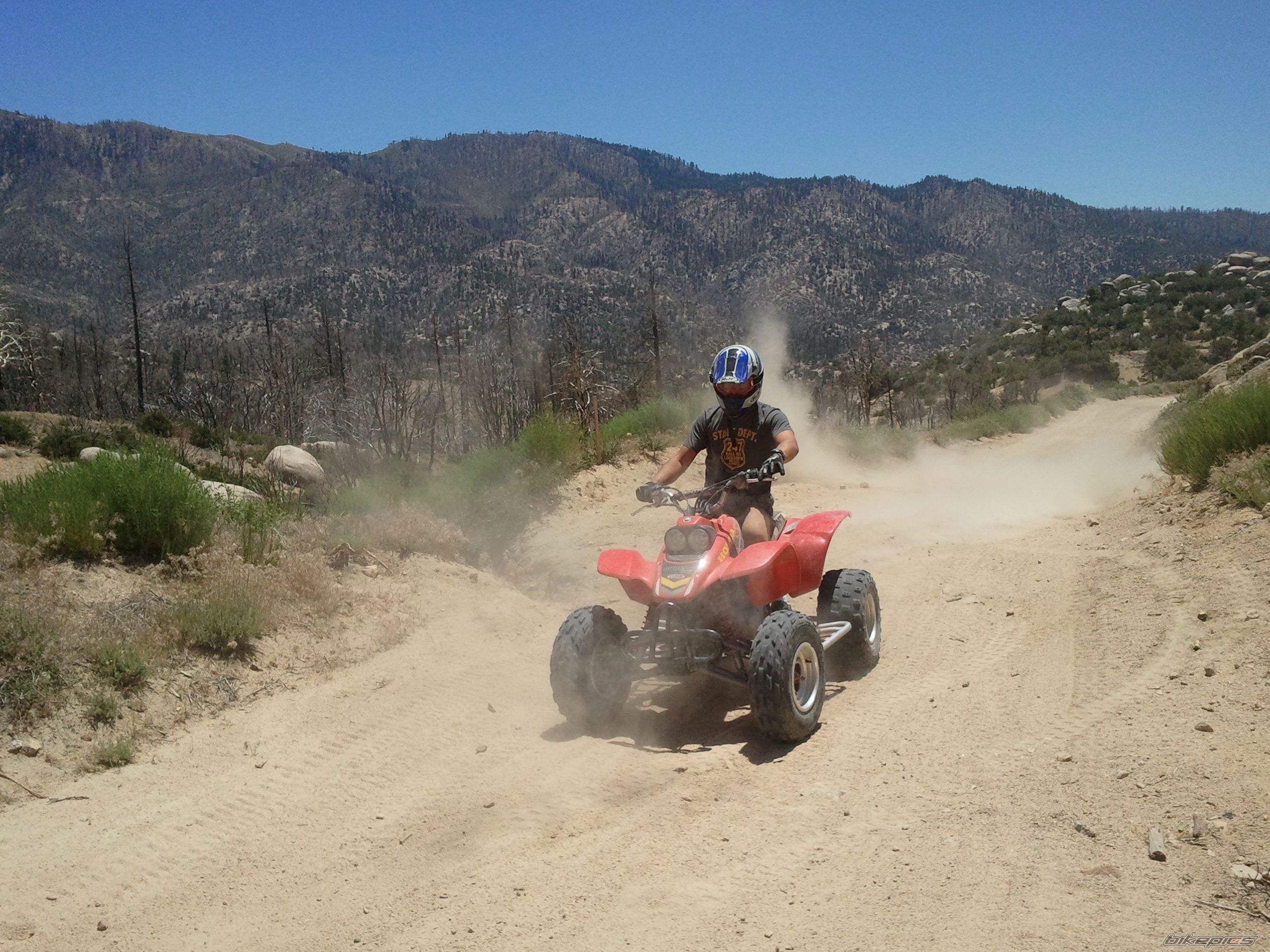 Photo 2353021