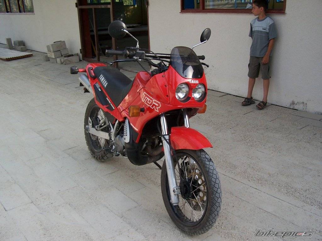 Photo 235306