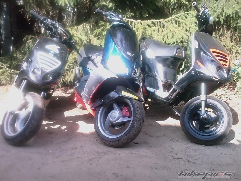 Photo 2353068