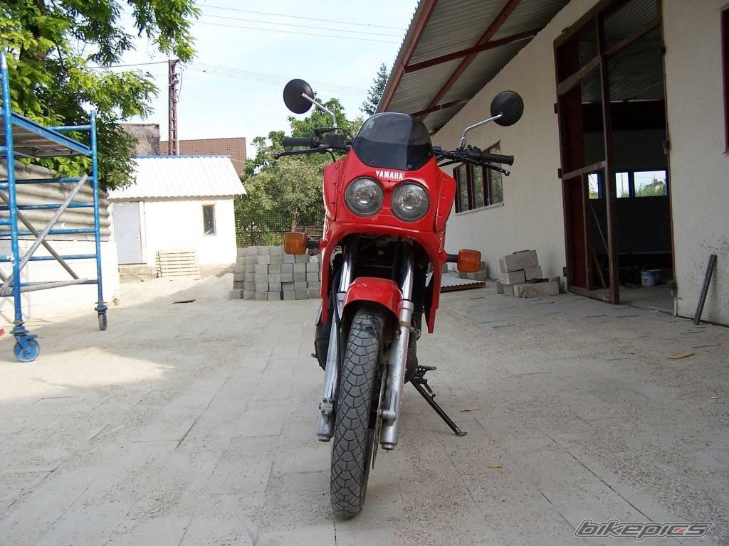 Photo 235311