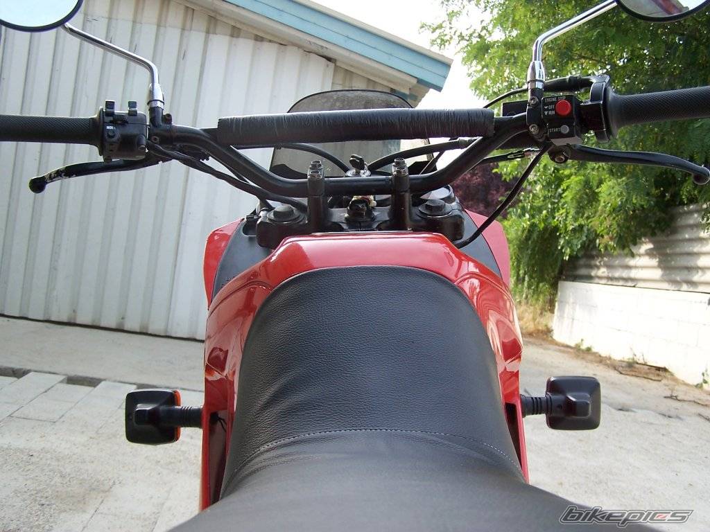 Photo 235313