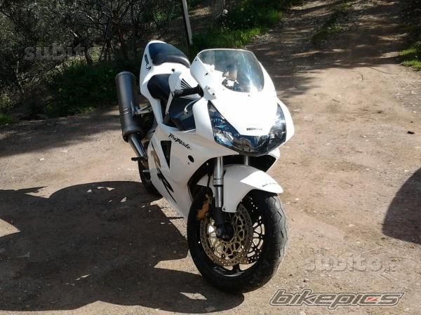 Photo 2353159