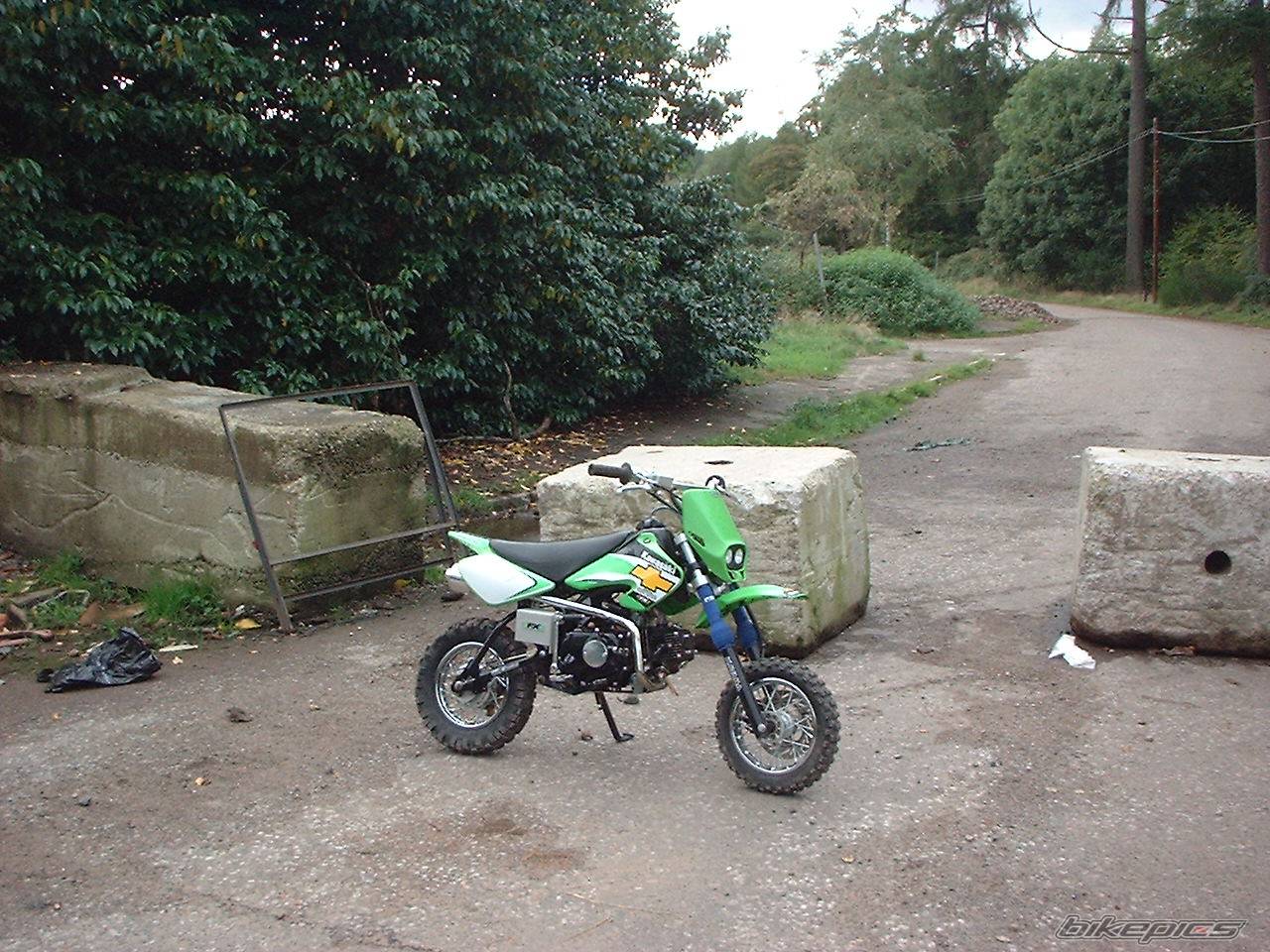 Photo 235318