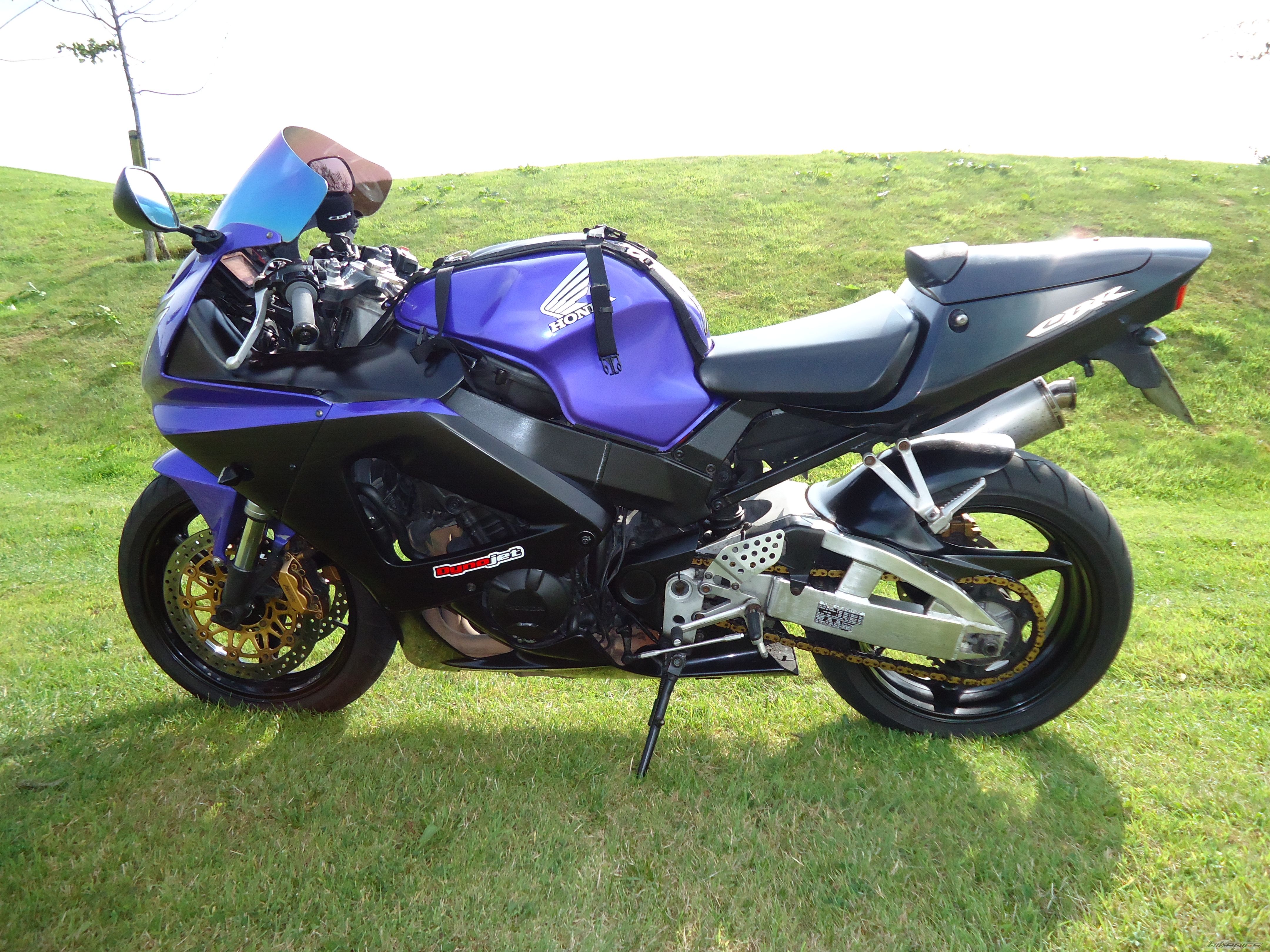 Photo 2353234