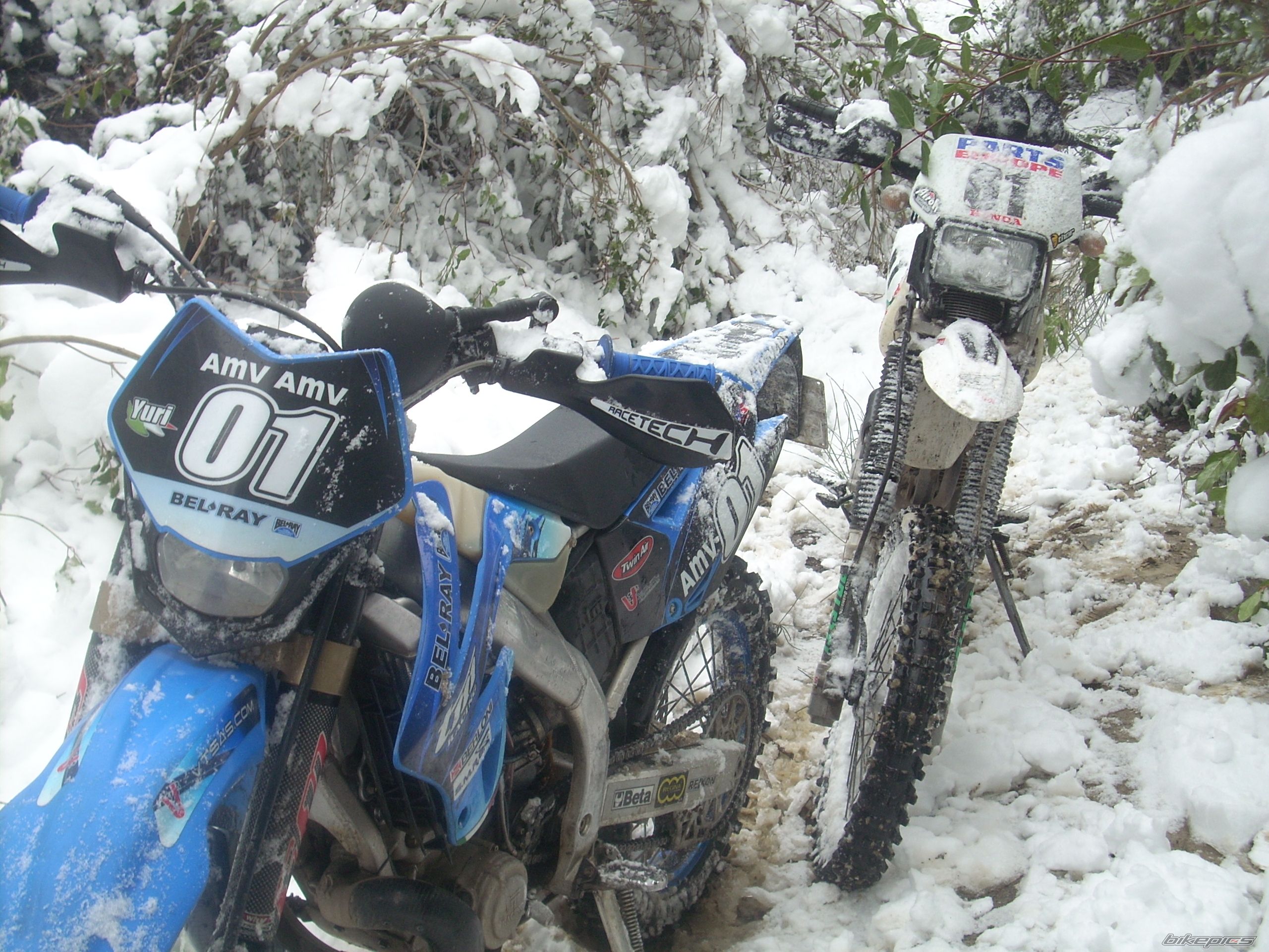 Photo 2353244