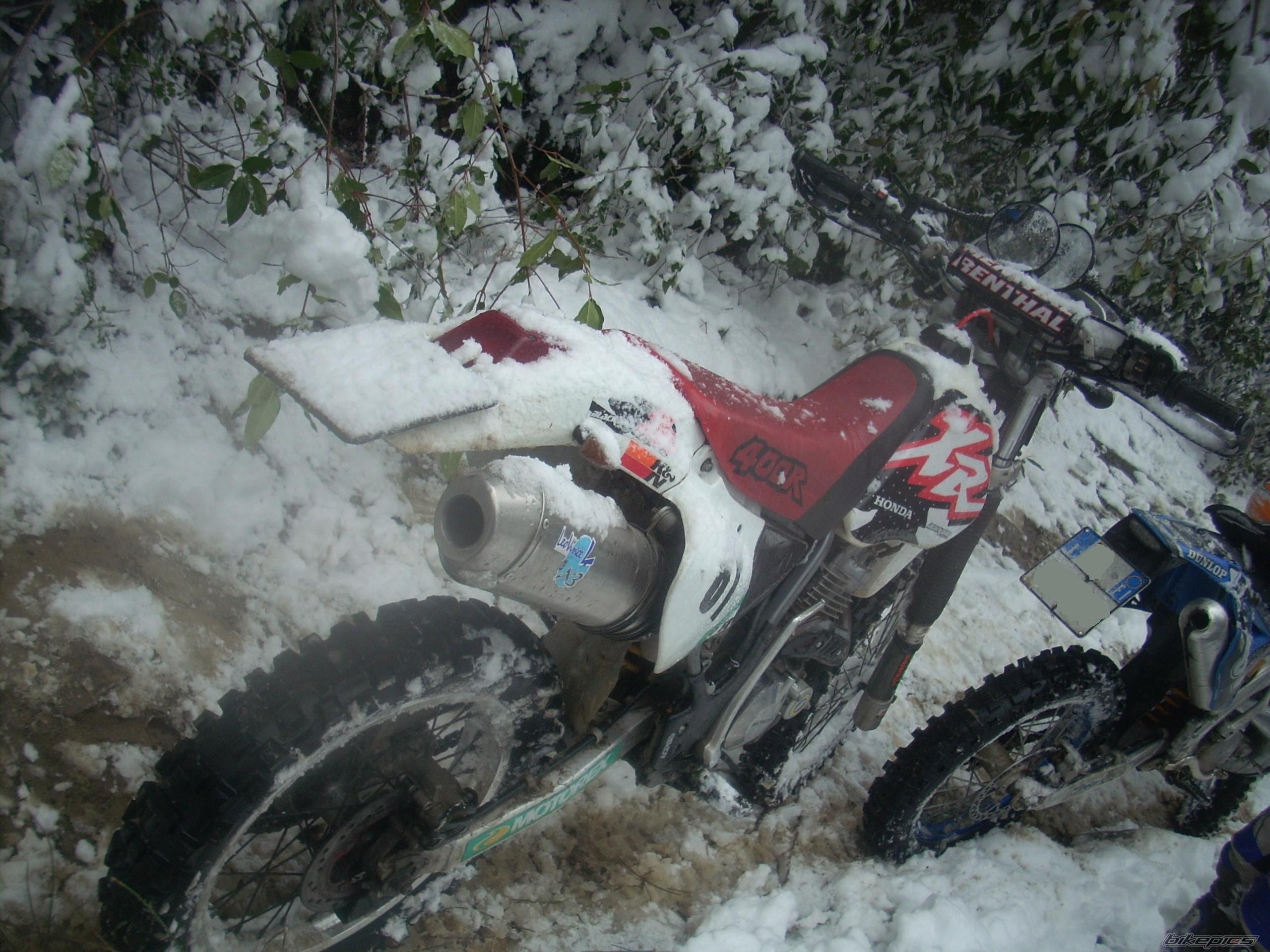 Photo 2353249