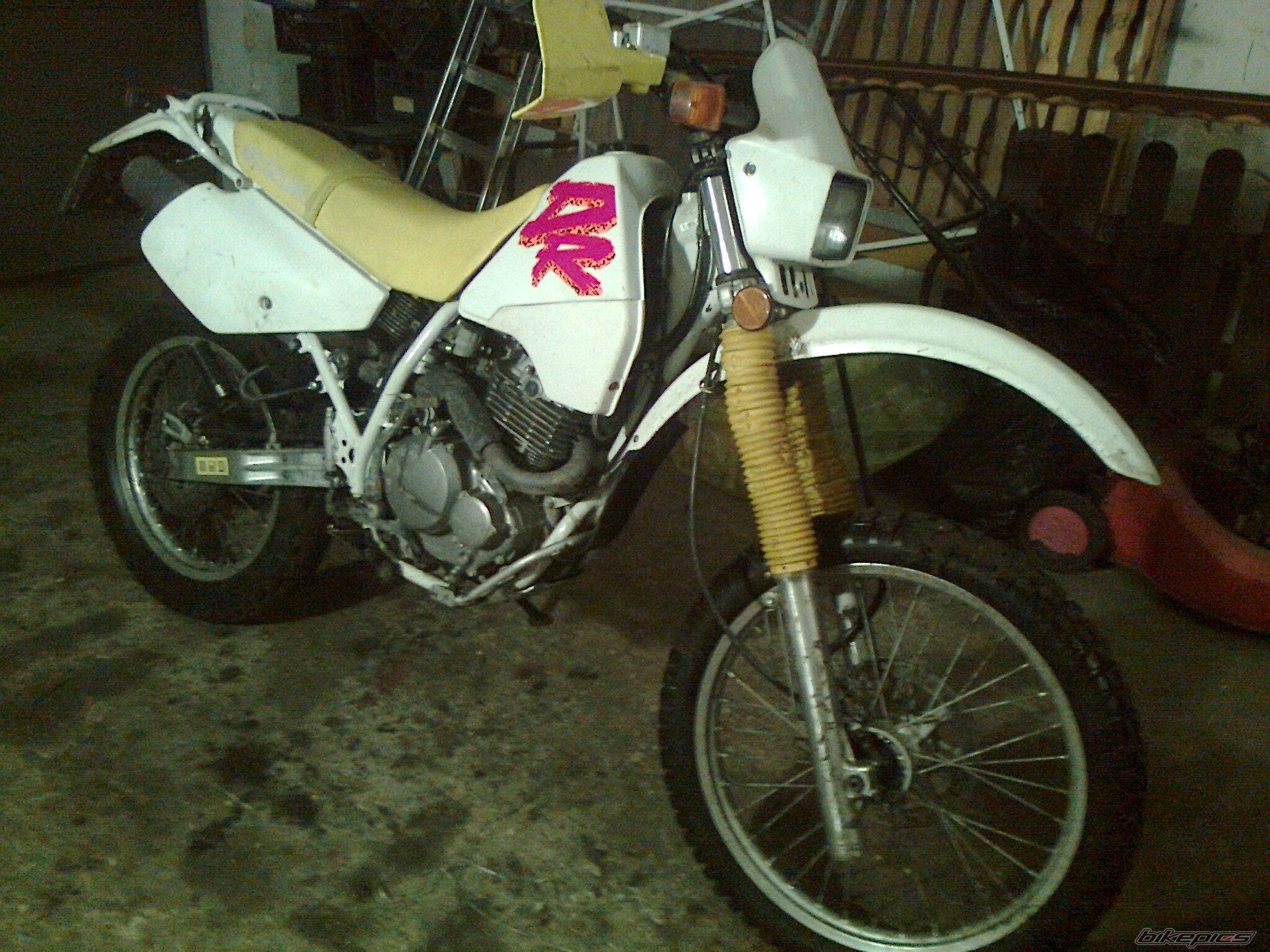 Photo 2353262