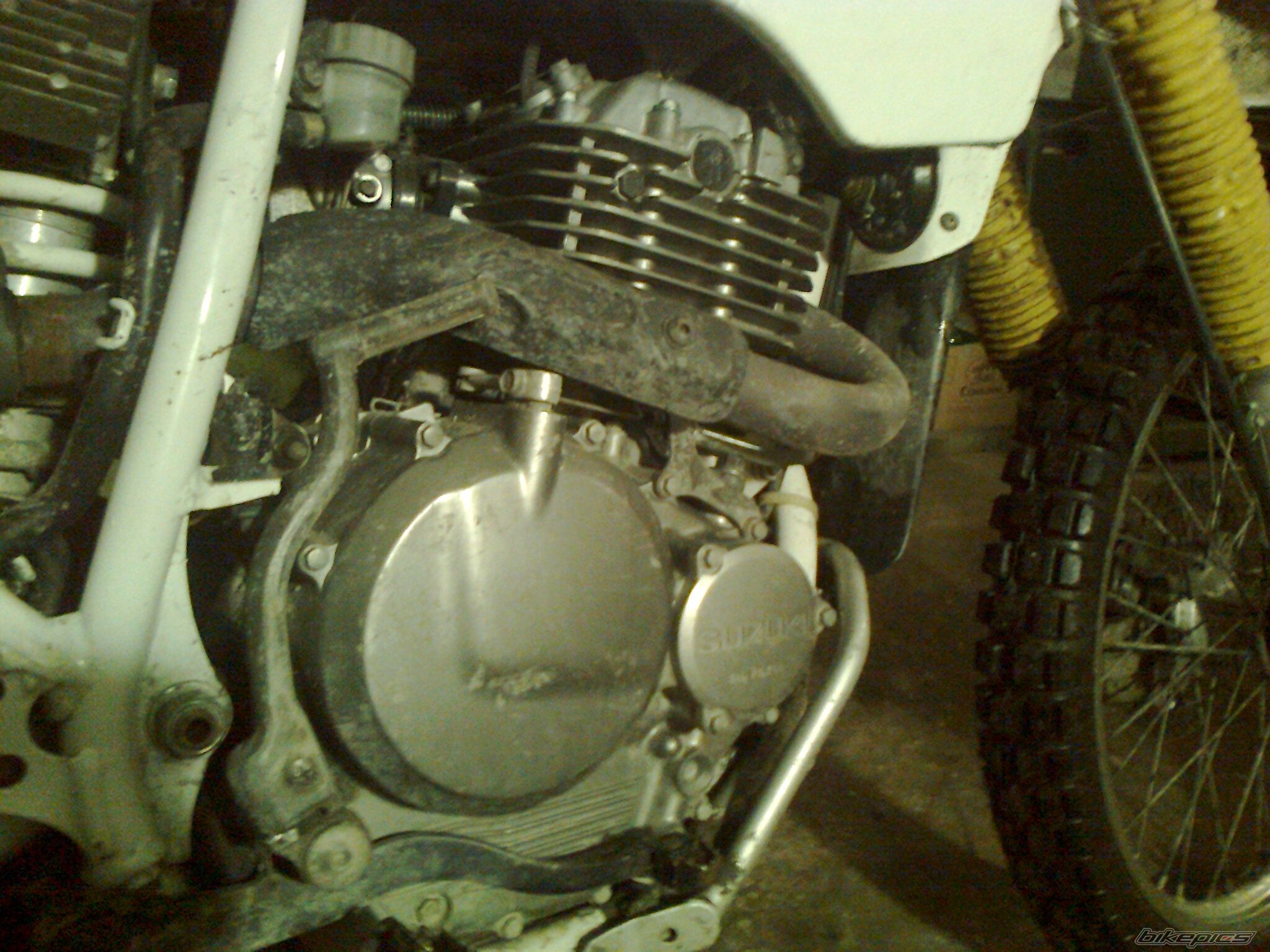 Photo 2353263