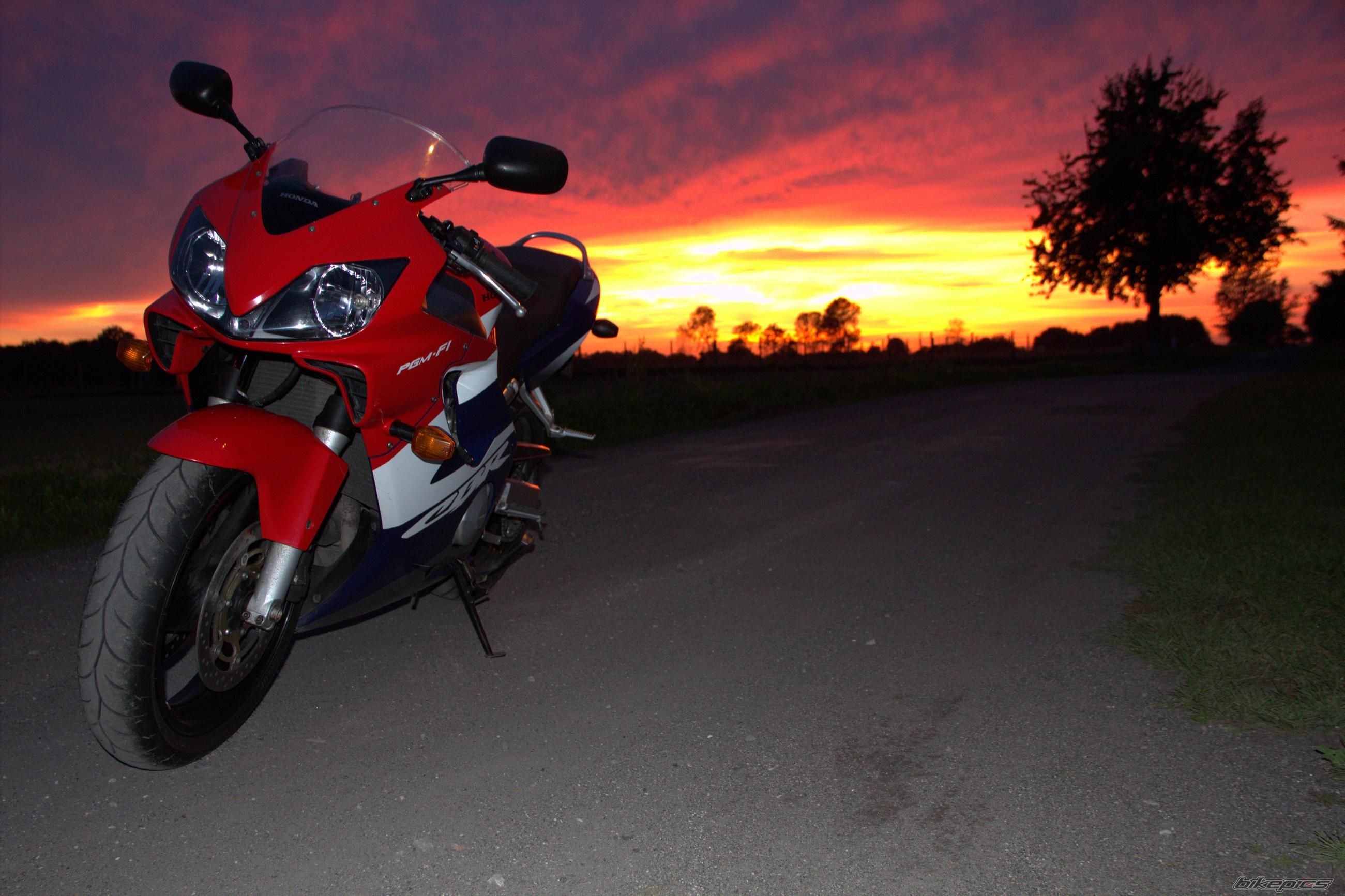 Photo 2353341