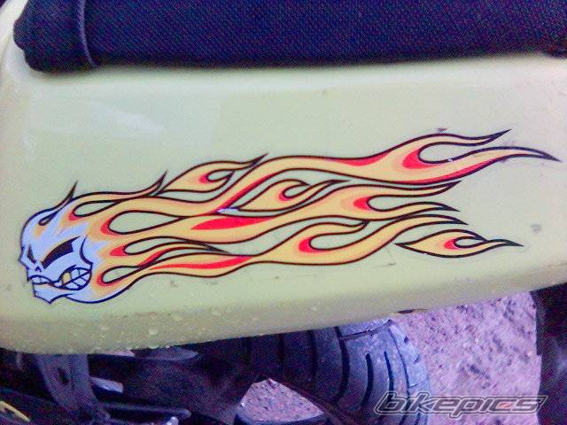 Photo 235336