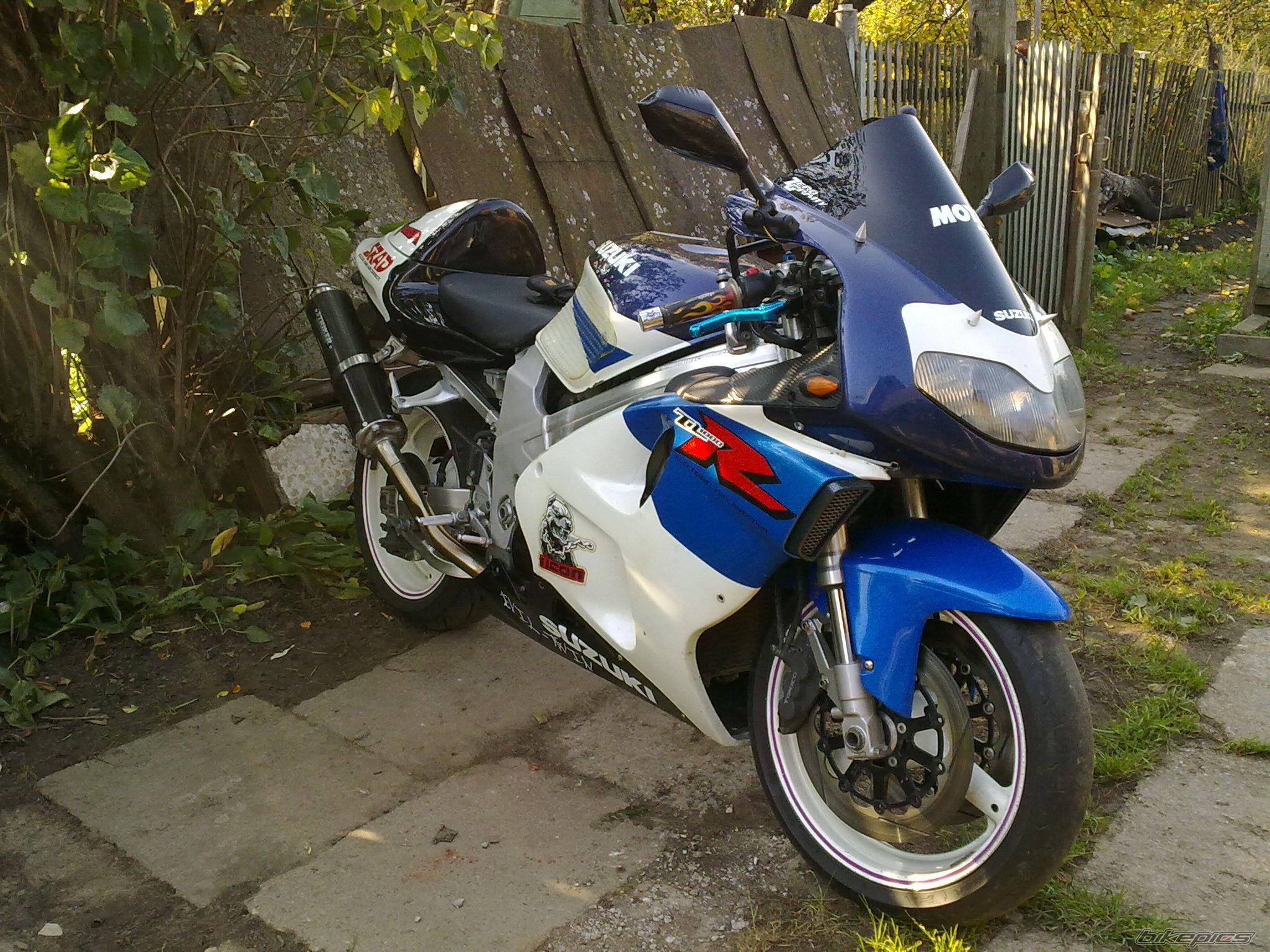 Photo 2353457