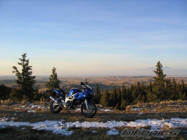 Photo 235346