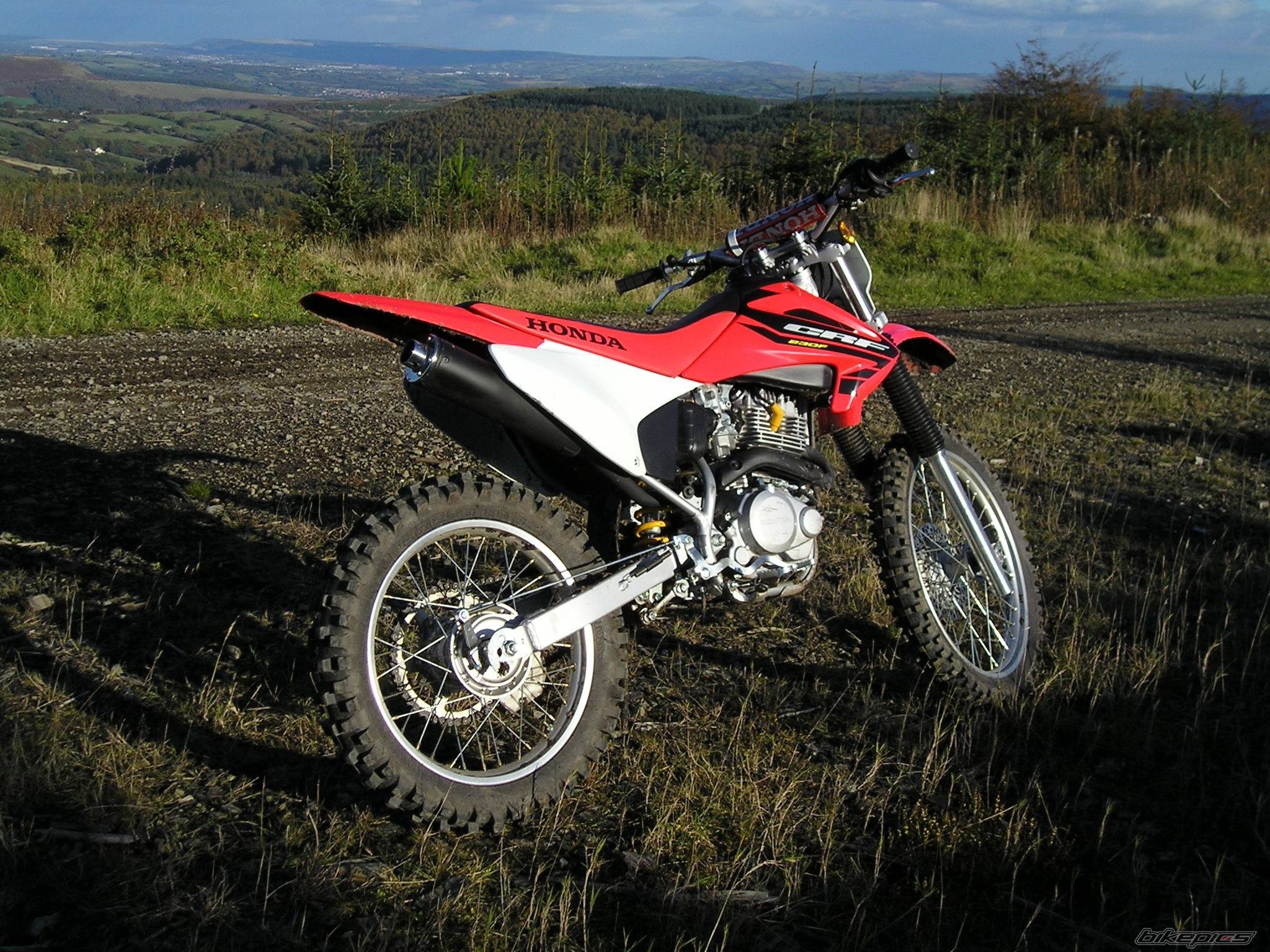 Photo 235348