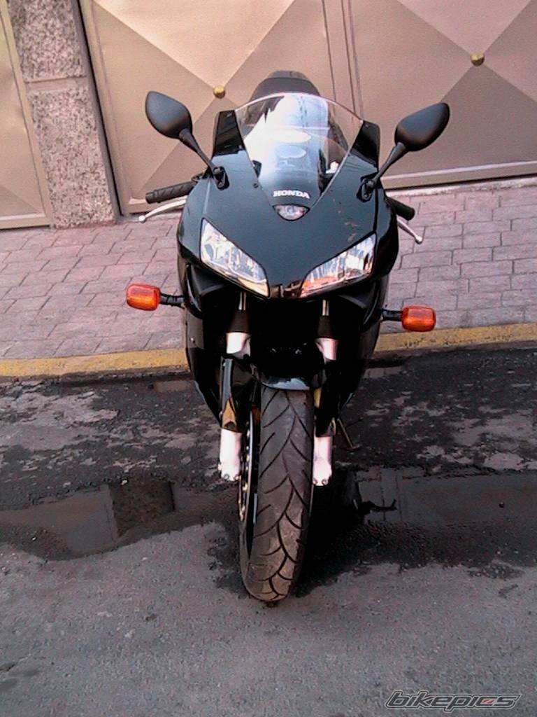 Photo 235350