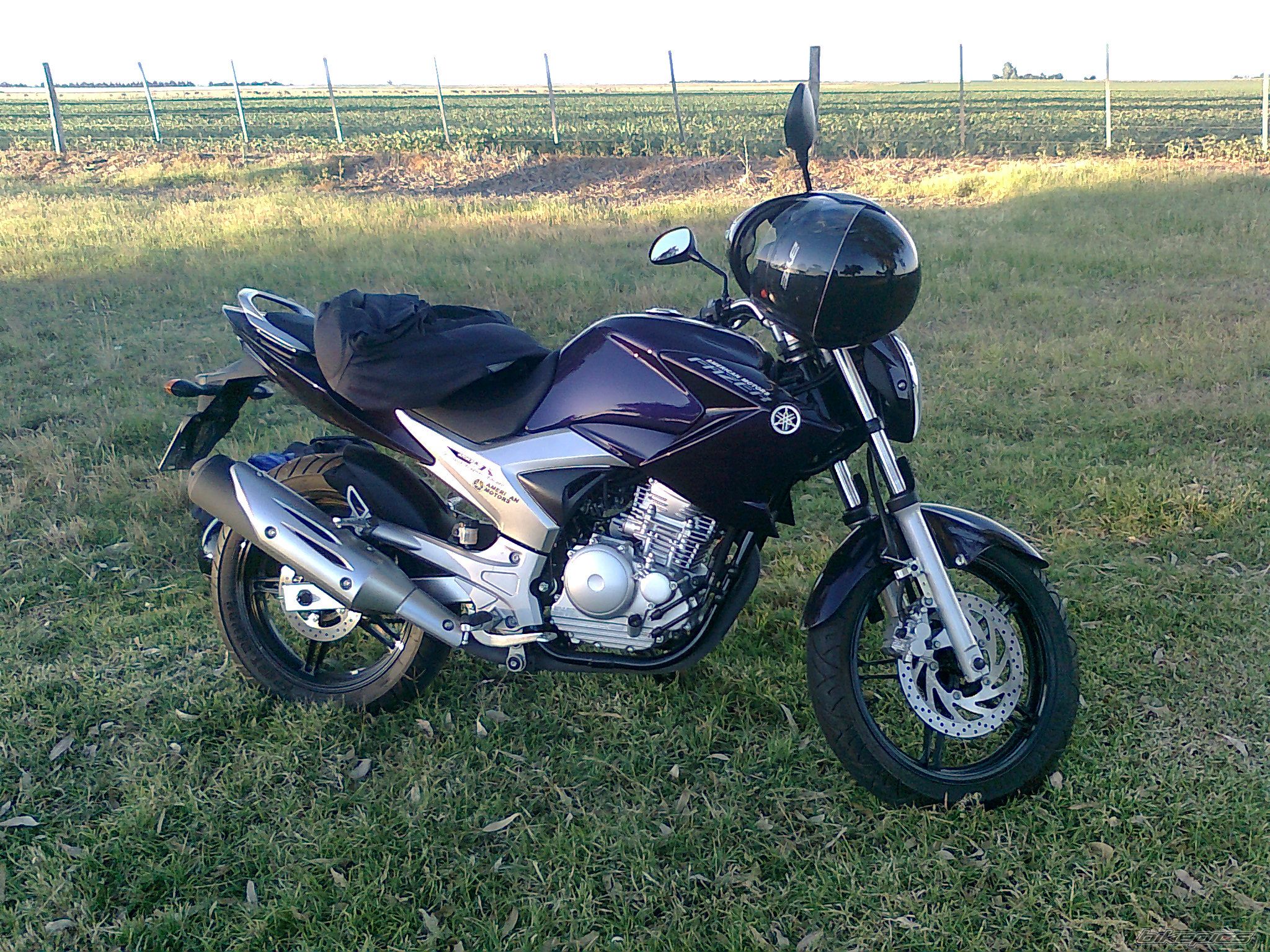 Photo 2353503