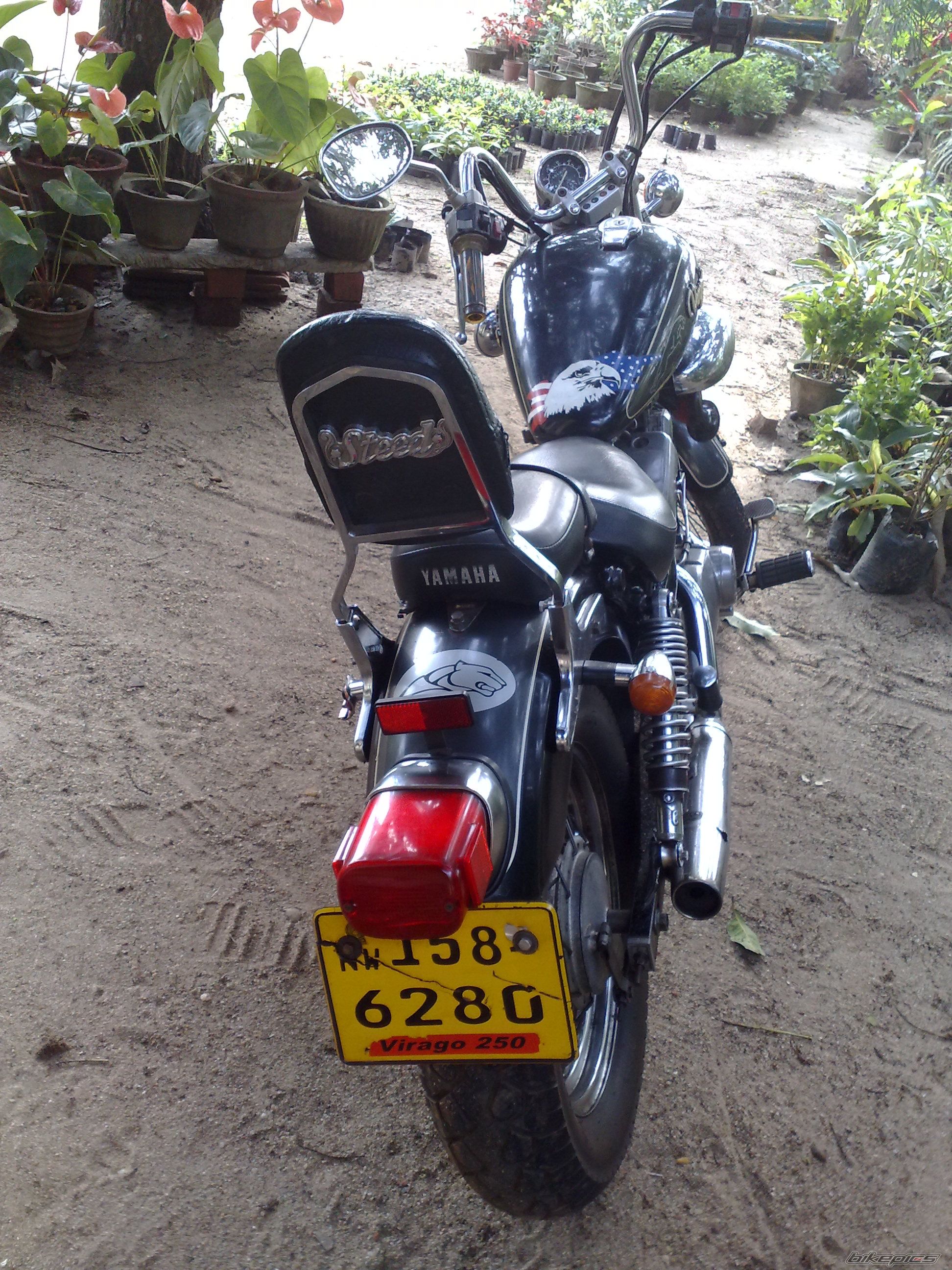 Photo 2353611