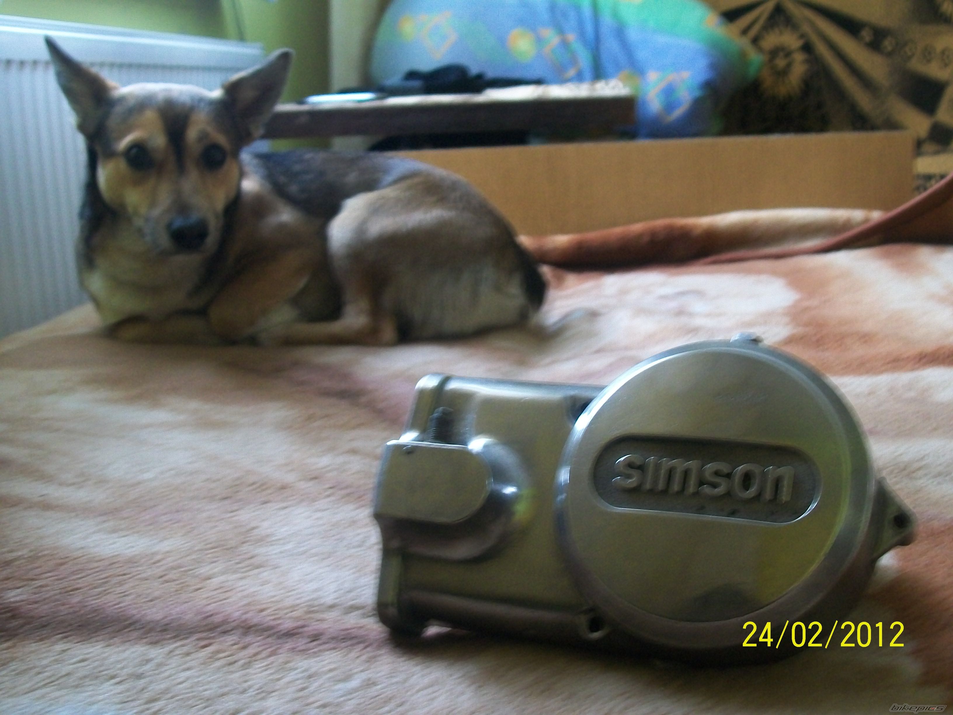 Photo 2353649
